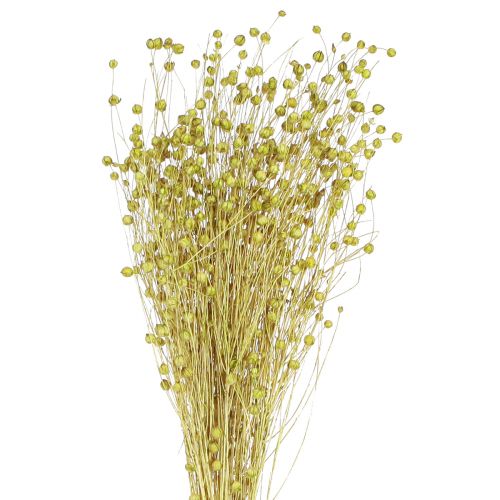 Floristik24 Decorative Flax Dried Dried Flowers Olive Green 50g