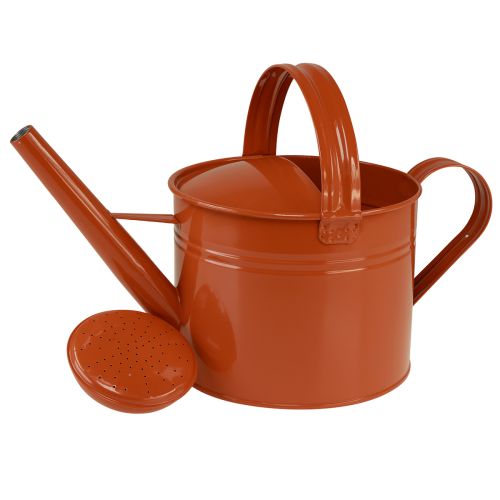 Metal decorative watering can in country style, orange-brown, 26cm, 5L - Versatile use as a planter &amp; decorative can | Floristik24.co.uk