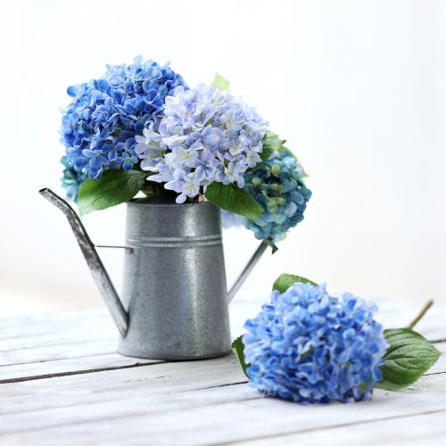 Product Decorative watering can galvanized metal grey 1.7L H23cm