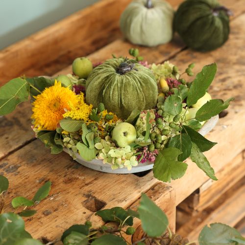 Floristik24 Decorative pumpkin autumn green dark green light green Ø18cm 3 pcs
