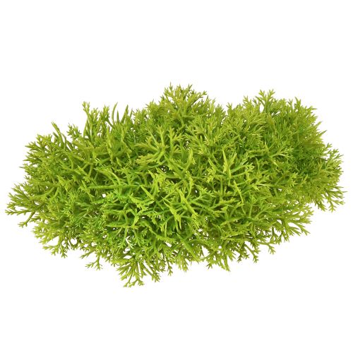 Floristik24 Decorative moss artificial green – moss cushion 10/12/14cm 3 pcs