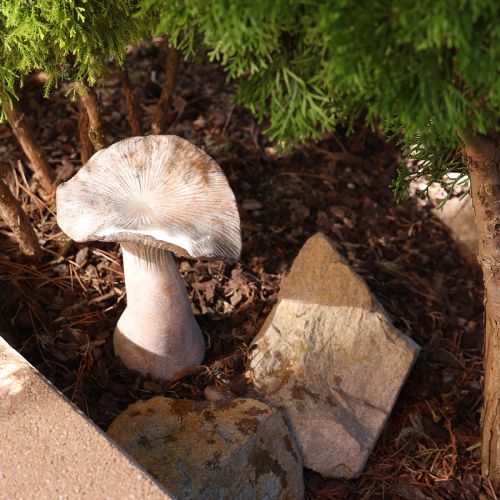 Product Decorative mushroom cast stone autumn decoration gray washed 19×15cm H23cm