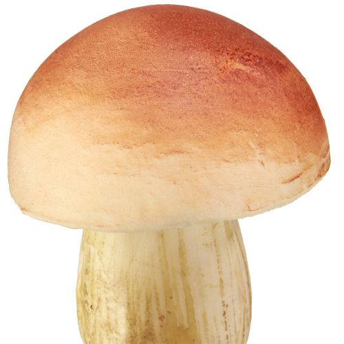 Product Decorative Mushrooms on Stick Small and Large Brown H10/11.5cm 8 pcs
