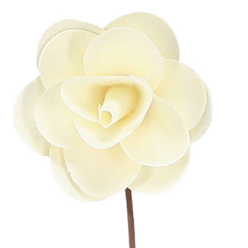 Product Decorative Roses Cream Artificial Roses made of wood Ø7cm 12 pcs
