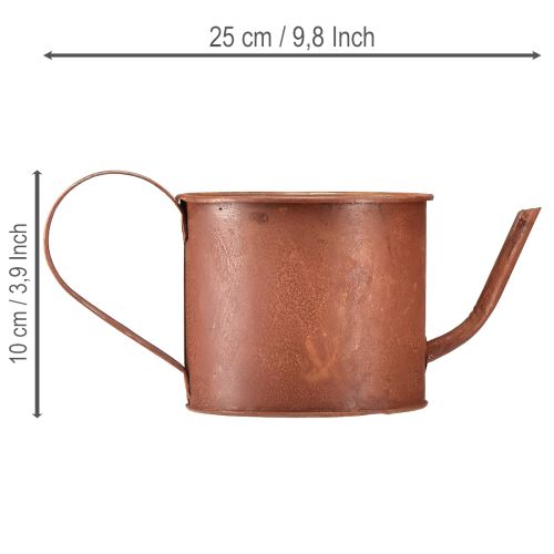 Decorative rust watering can planter metal Ø12.5cm H10.5cm | Floristik24.co.uk