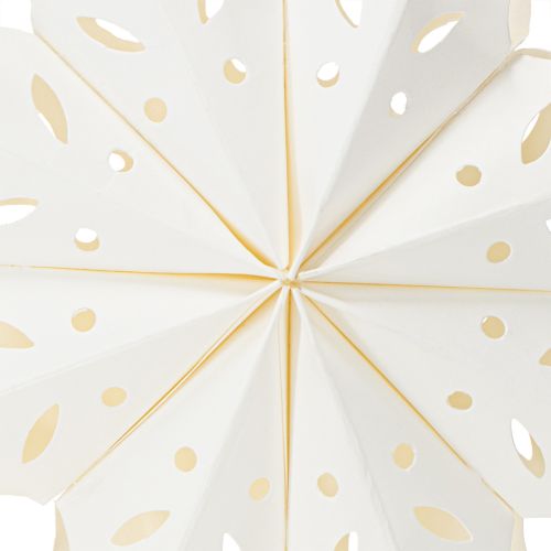 Product Elegant paper snowflakes for winter and Christmas decorations