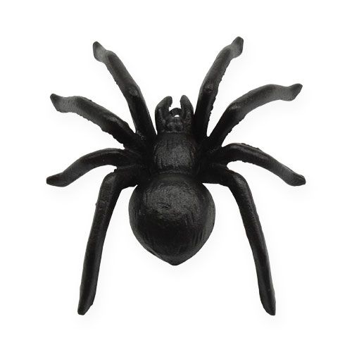 Floristik24 Spider Dark Brown 13.5cm
