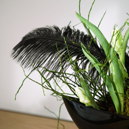 Product Decorative Ostrich Feathers Black Feathers 38-40cm 2 pcs