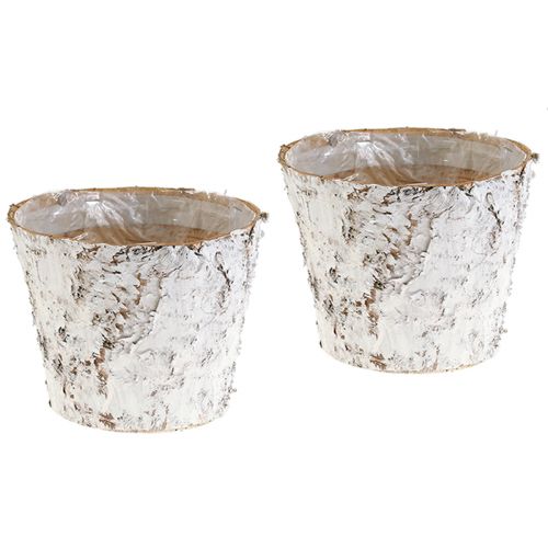 Decorative pot birch whitened plant pot Ø18cm H15cm 2pcs