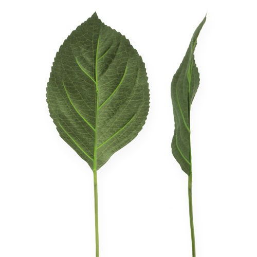 Floristik24 Hydrangea leaf deco leaf L31cm 26p