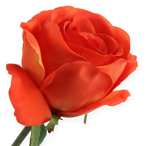 Product Deco-roses orange 32cm 6pcs