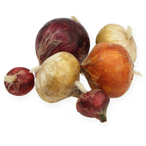 Floristik24 Onion large & small artificially 14St