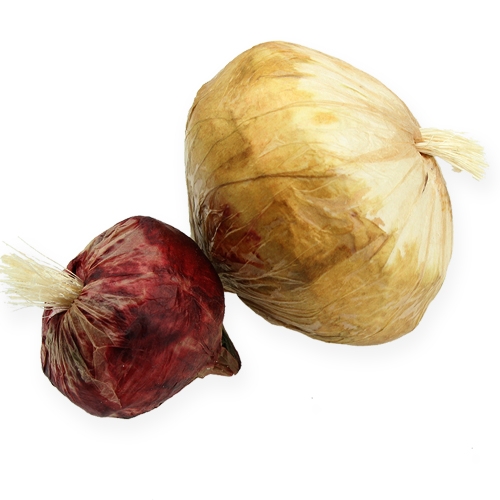 Product Onion large & small artificially 14St