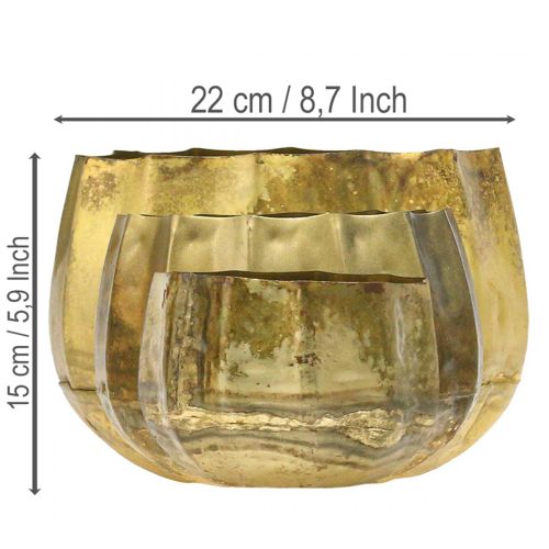 Product Decorative bowl brass metal bowl Ø22/18/14cm set of 3