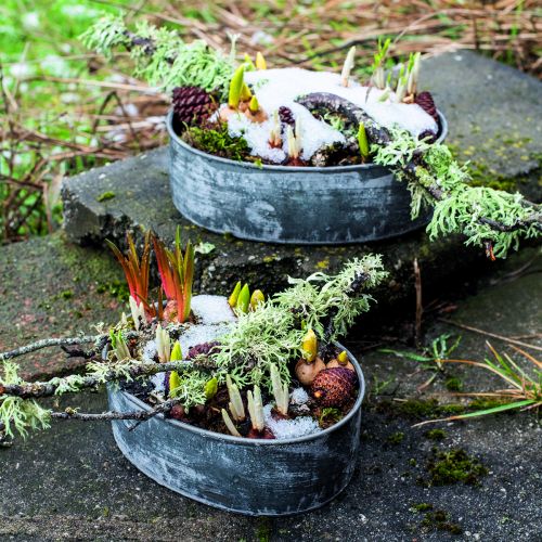 Floristik24 Decorative Bowl Metal Plug-in Bowl Oval Grey L22.5/19.5/16cm Set of 3