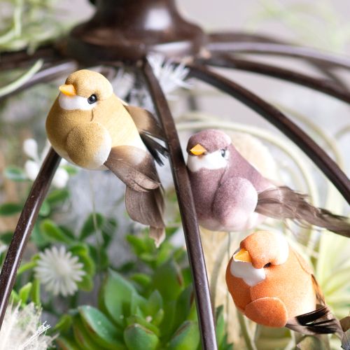Product Decorative birds, artificial home decor, spring occasion, with colorful plumage made of real feathers, 5cm, 18 pieces