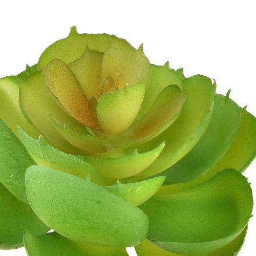 Product Echeveria Artificial Succulents Green Ø7cm 6 pcs