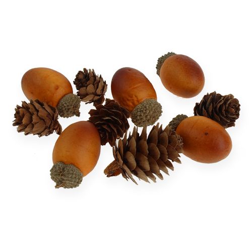 Floristik24 Acorn, cones mix in the net 60pcs