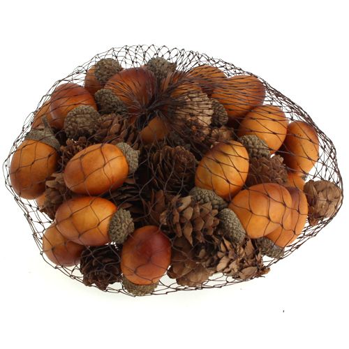 Floristik24 Acorn, cones mix in the net 60pcs