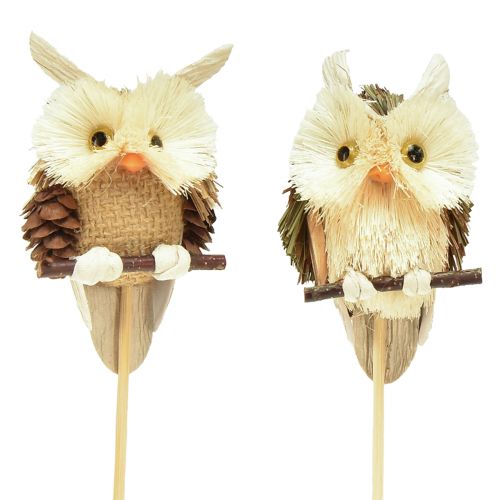 Product Owl decoration flower plug autumn decoration natural Ø4cm H8cm 4pcs