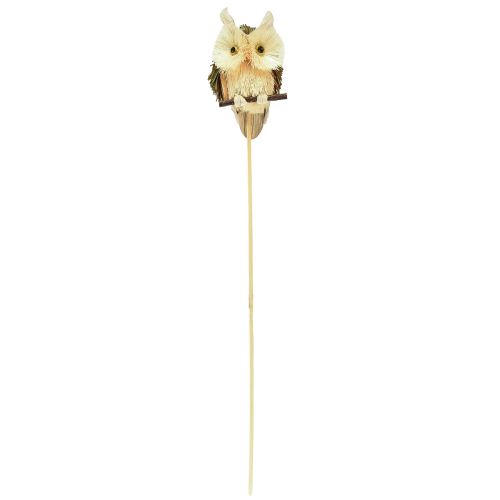 Product Owl decoration flower plug autumn decoration natural Ø4cm H8cm 4pcs