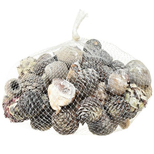 Product Exoten Cones Leucodendron White Washed 3-4cm 450g