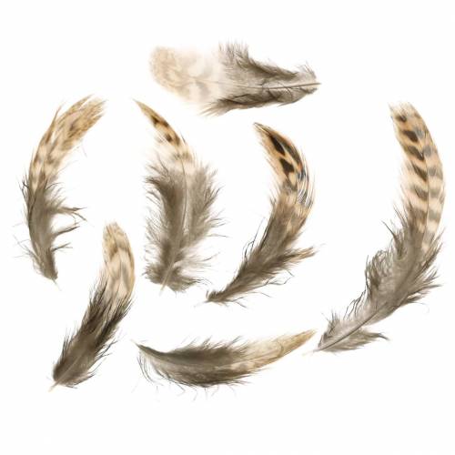 Floristik24 Feathers natural 4.5 - 9cm 20g