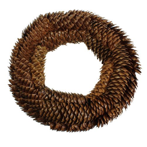 Floristik24 Spruce cones wreath Ø27cm