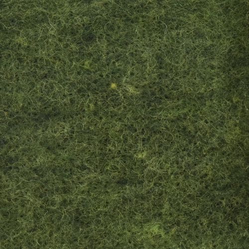 Floristik24 Felt ribbon wool ribbon craft felt felt roll dark green 15cm 5m