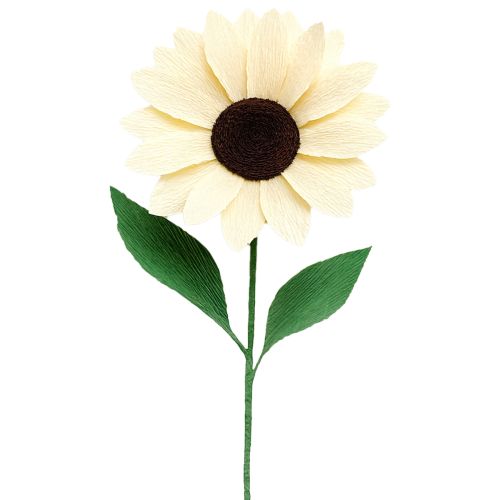 Product Florist crepe paper champagne 50x250cm