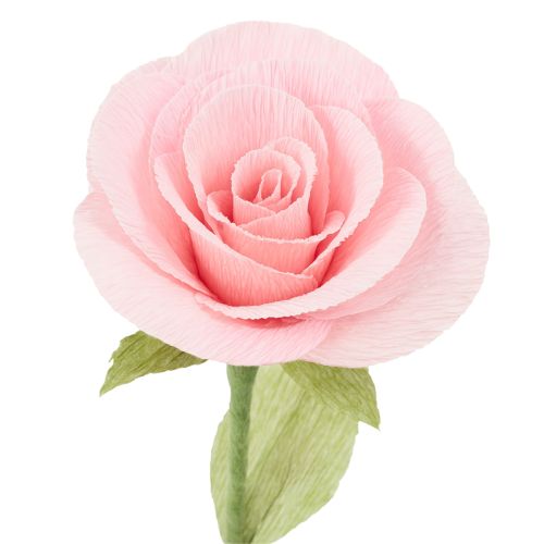 Product Florist crepe paper pink 50x250cm