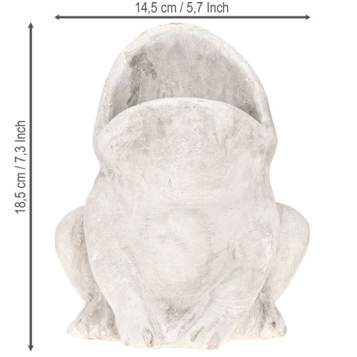 Product Frog decorative plant pot flower pot concrete grey H18.5cm