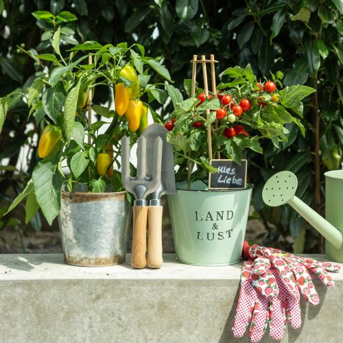 Product Garden tool with flowerbed stakes rake shovel set 25/28cm