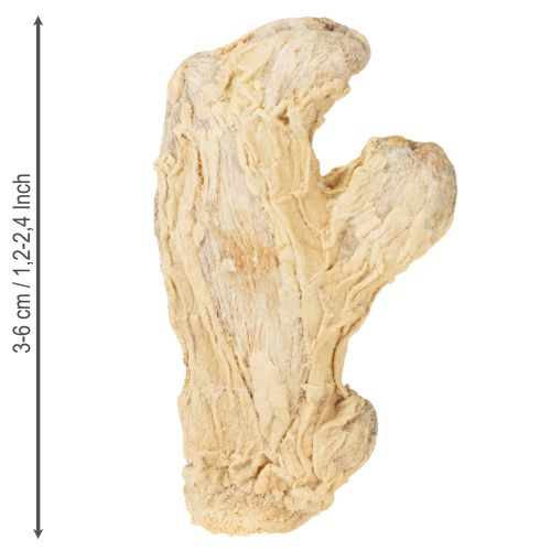 Product Dried Ginger Decoration Natural Decoration 500g