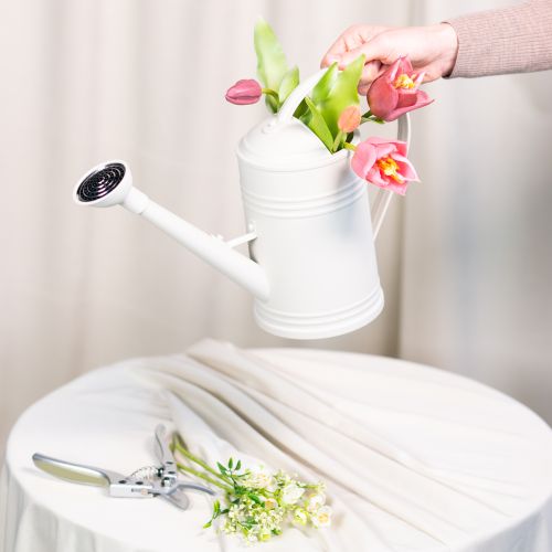 Product Watering can with removable rose head. Ideal for houseplants and balconies. 32cm
