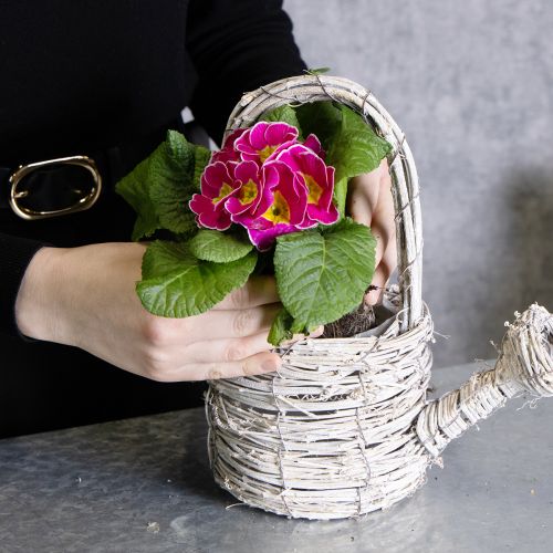 Product Decorative watering can in a tasteful woven design for elegant home decor, 26cm