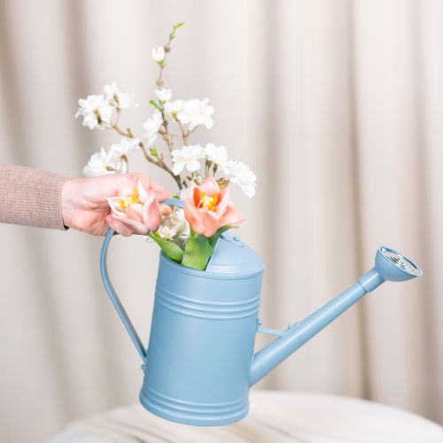 Product Watering can ideal for precise watering of balcony and indoor plants 32cm