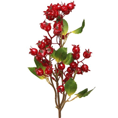 Product Rosehip decoration branch with red fruits L60cm 2 pcs
