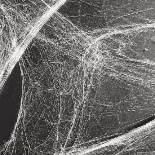 Floristik24 Halloween decoration spider web cobwebs 70×100cm 150g