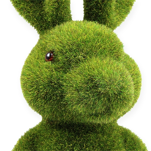 Floristik24 Easter bunny dark green 44c