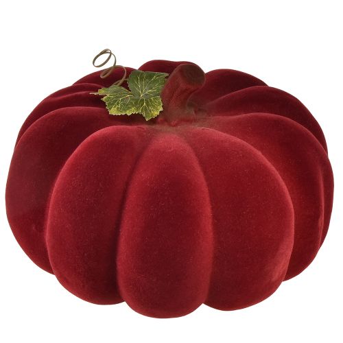 Floristik24 Autumn decoration pumpkin flocked red burgundy – pumpkin decoration for a unique autumn ambience 32cm