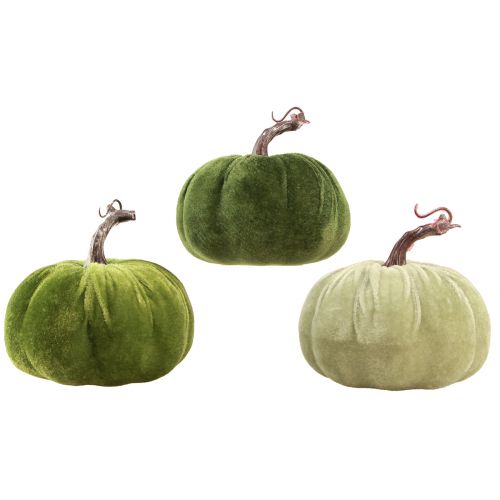 Floristik24 Autumn decoration pumpkin light green dark green Ø13cm 3 pcs