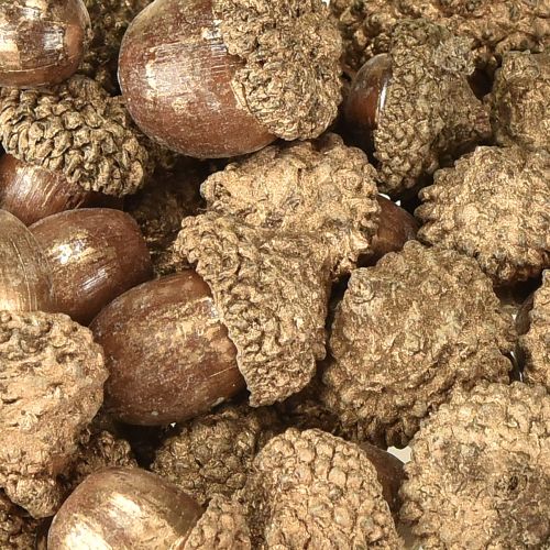 Product Golden autumn fruits, festive autumn decorations, natural decorative acorns, Advent decoration Ø1.5 – 2.5cm L1.5 – 3cm 300g