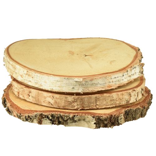 Floristik24 Wooden discs birch wood with bark tree discs Ø20-22cm 3 pcs