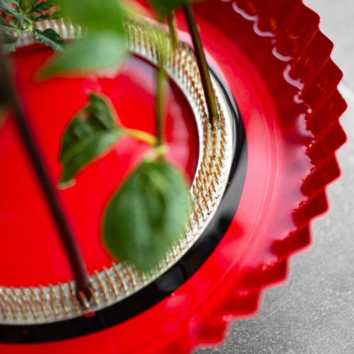 Product Kenzan Ring Pin Aid Brass Pin Aid Ø150mm