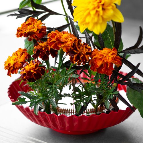 Product Kenzan Ring Pin Aid Brass Pin Aid Ø150mm