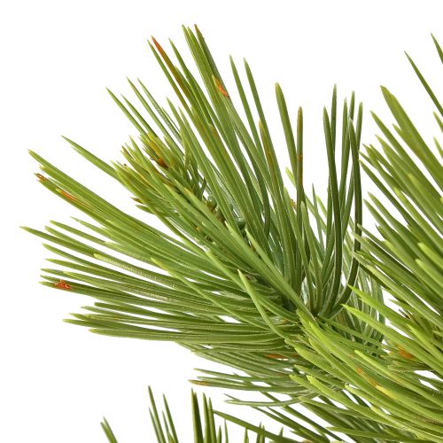 Floristik24 Pine in Pot Artificial Mini Christmas Tree Green H72cm
