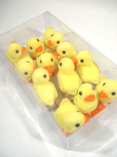 Floristik24 Chick m. Wire feet 8cm 12pcs. yellow / orange