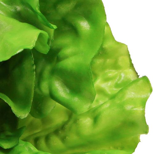 Product Lettuce Artificial Salad Food Dummy Ø12cm
