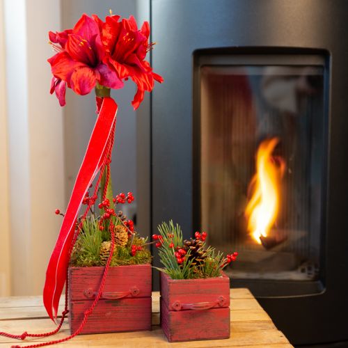 Floristik24 Artificial Amaryllis Artificial Flowers Red Ø18cm L68cm 2pcs